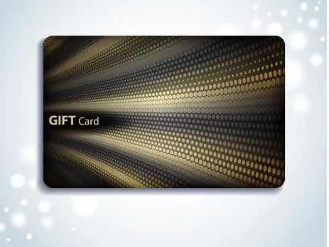 Hitag1/2/S2048 125HZ Contactless Plastic Gift Rfid Payment Card For Printing / Barcode Smart Id Card