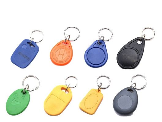RFID NFC Abs Key Chain Balnk Or Printed With Logo For Access Control