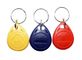 NFC Abs Key Tags Rfid Smart Tags Balnk Or Printed With Logo For Access Control